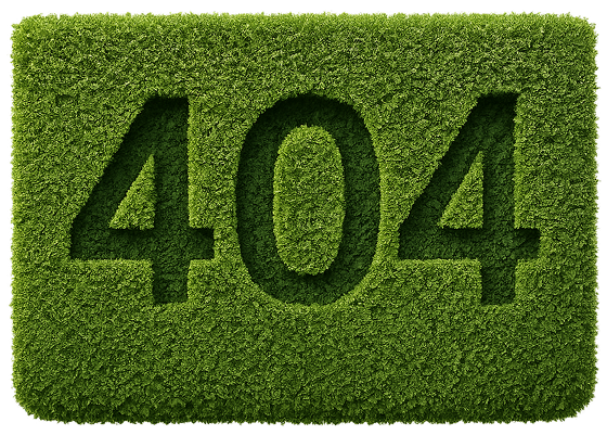 404
